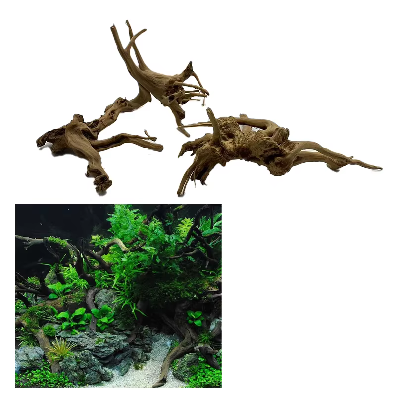 Tronc d'arbre naturel en bois flotté, plante d'aquarium, décoration en bois, ornement d'aquarium, ac