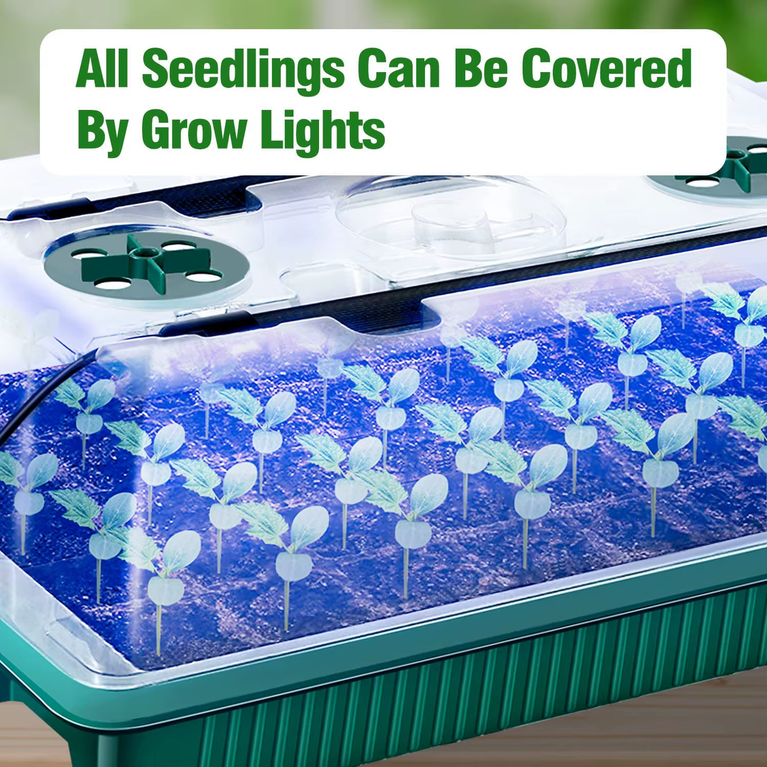 Lot De 2 Plateaux De Démarrage Pour Graines Avec Kit De Germination À Dôme Élevé – 80 Cellules, 4 La