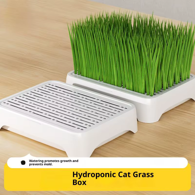 ● Bac de culture hydroponique pour herbe à chat, pot de semis de blé sans terre, dispositif hydropon