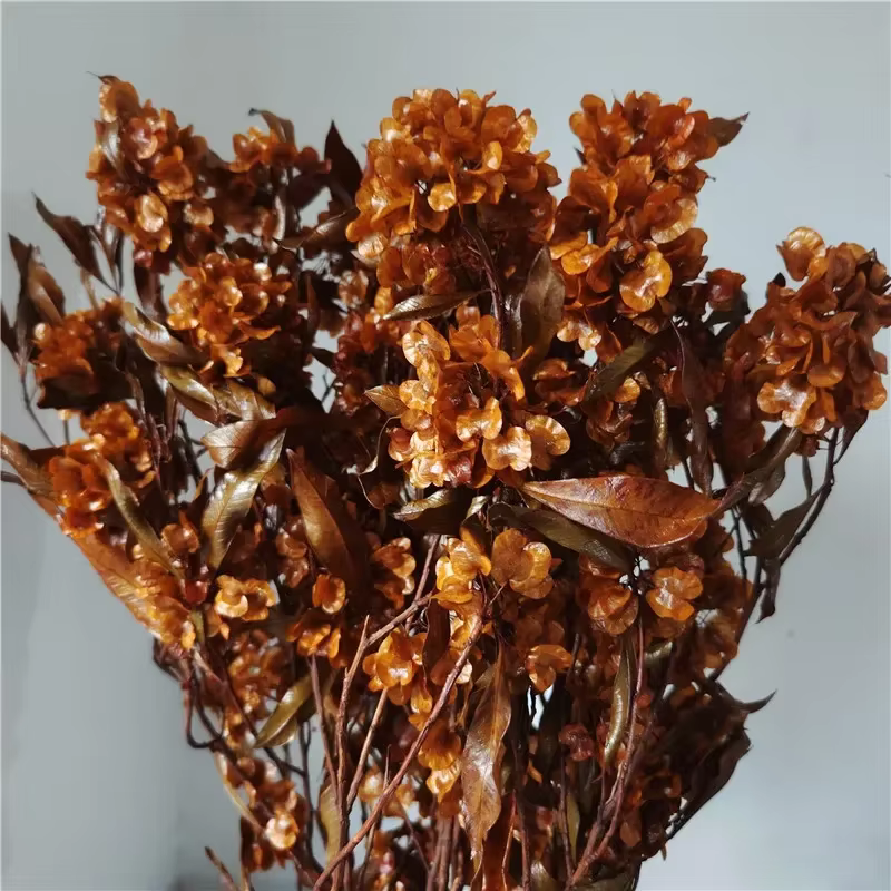 Bouquet de fleurs d'iris séchées, bouquet frais de patients, décoration de table de fête de mariage,