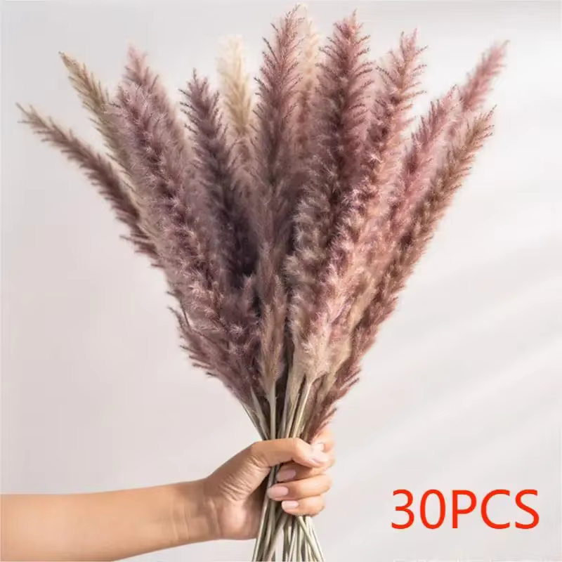 Bouquet de fleurs séchées naturelles, 80 pièces, herbe de Pampas, style Boho nordique, décoration de