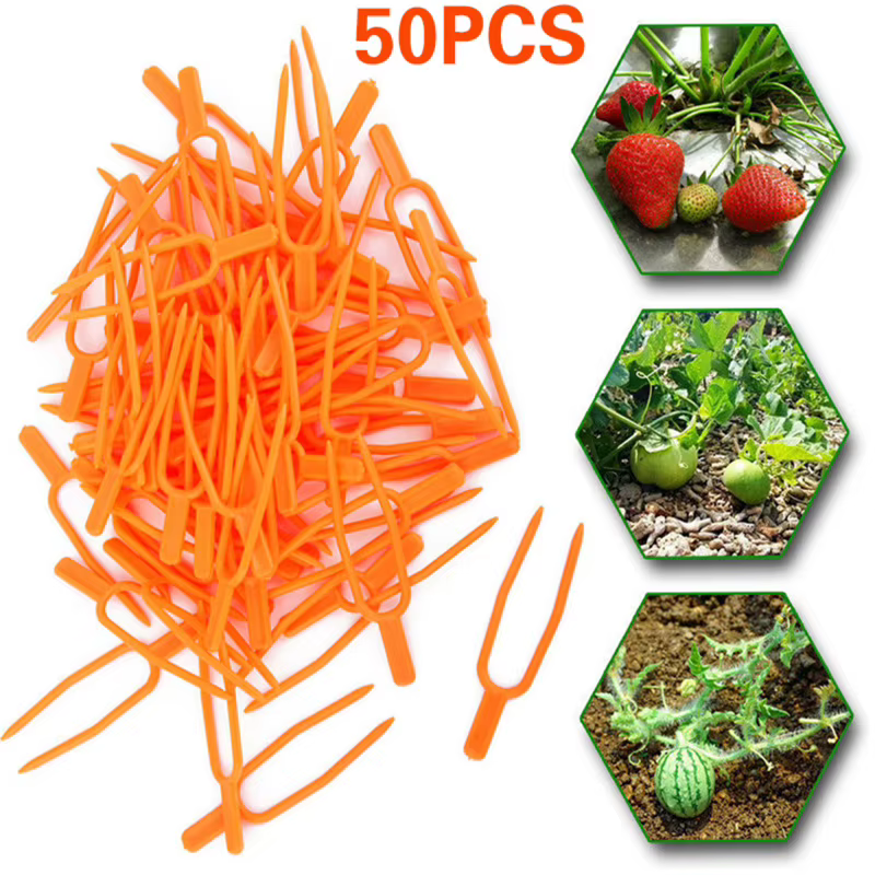 Lot de 50 attaches de jardinage en plastique, clips de fixation pour plantes agricoles, clips pour p