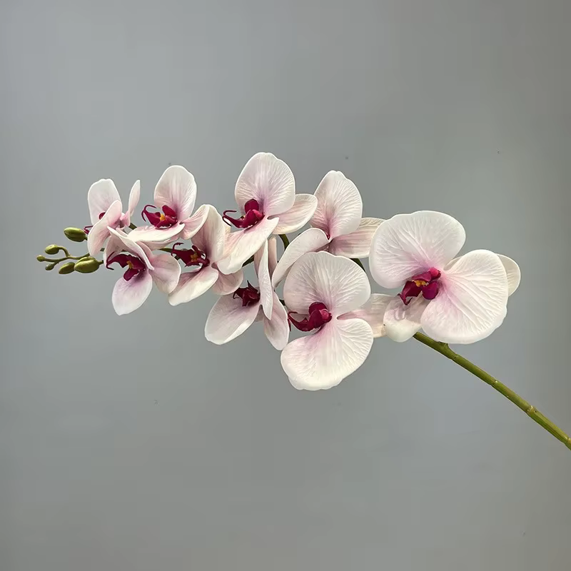 Fleurs de simulation d'impression 3D, silicone, coton, orchidée papillon blanche, plante verte artif