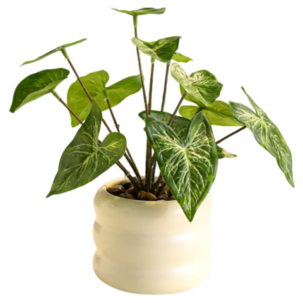 Plantes artificielles réalistes bonsaï, vie éternelle élégante, fausses plantes tropicales avec pot