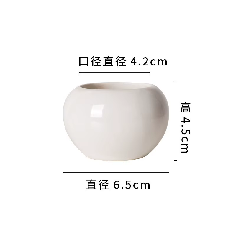 Petit pot rond en céramique pour plantes succulentes, décoration d'intérieur, mini pot pour plantes 