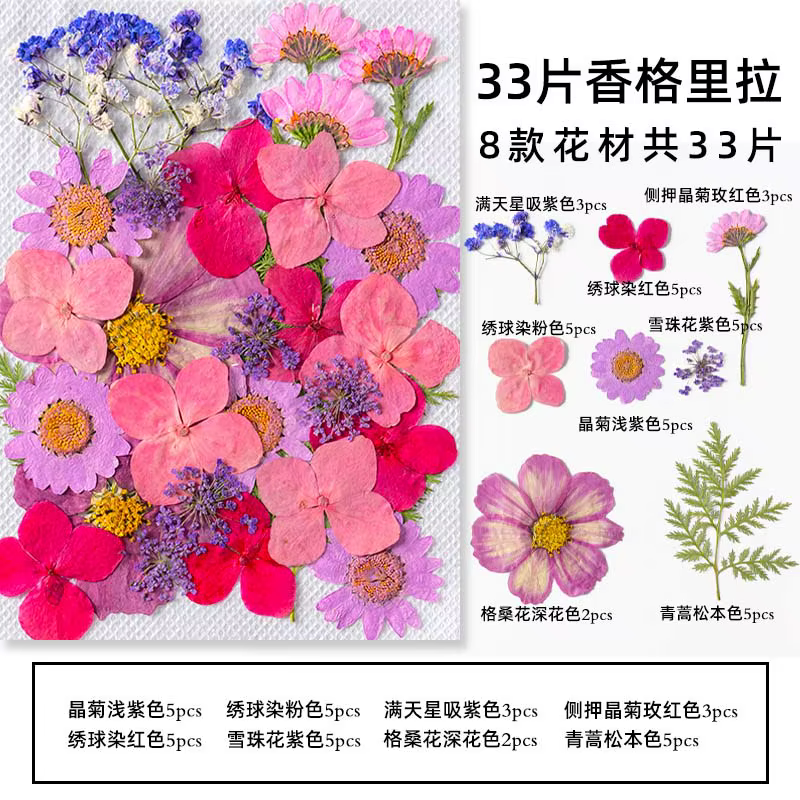 Kit de matériaux combinés de feuilles de fleurs séchées, 33-35 pièces/paquet, herbarium de plantes e
