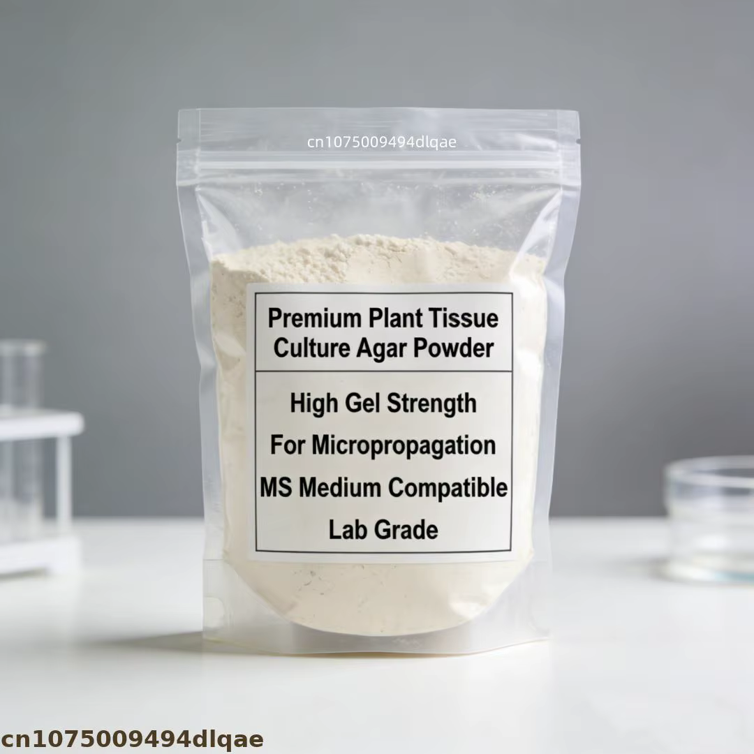 Poudre d'agar pour culture de tissus végétaux, haute densité de gel, qualité laboratoire, milieu MS 