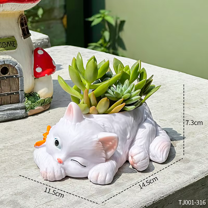 Pot de fleurs succulentes chat mignon, plantes vertes de balcon, salon, maison, bureau, plante en po