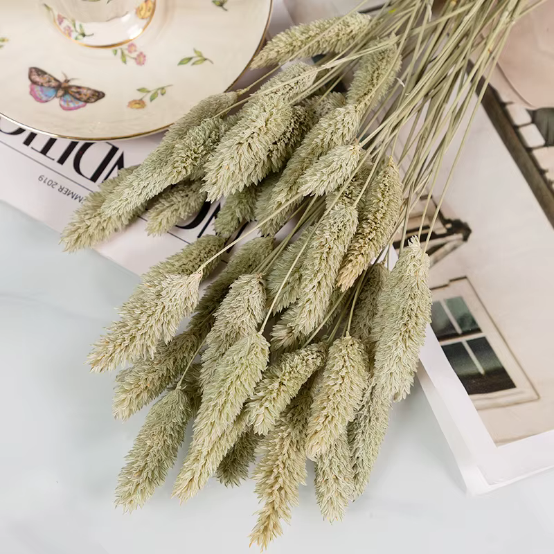 Bouquet d'herbe naturelle séchée, 100 pièces, décoration de mariage à domicile, plante sèche, bijoux