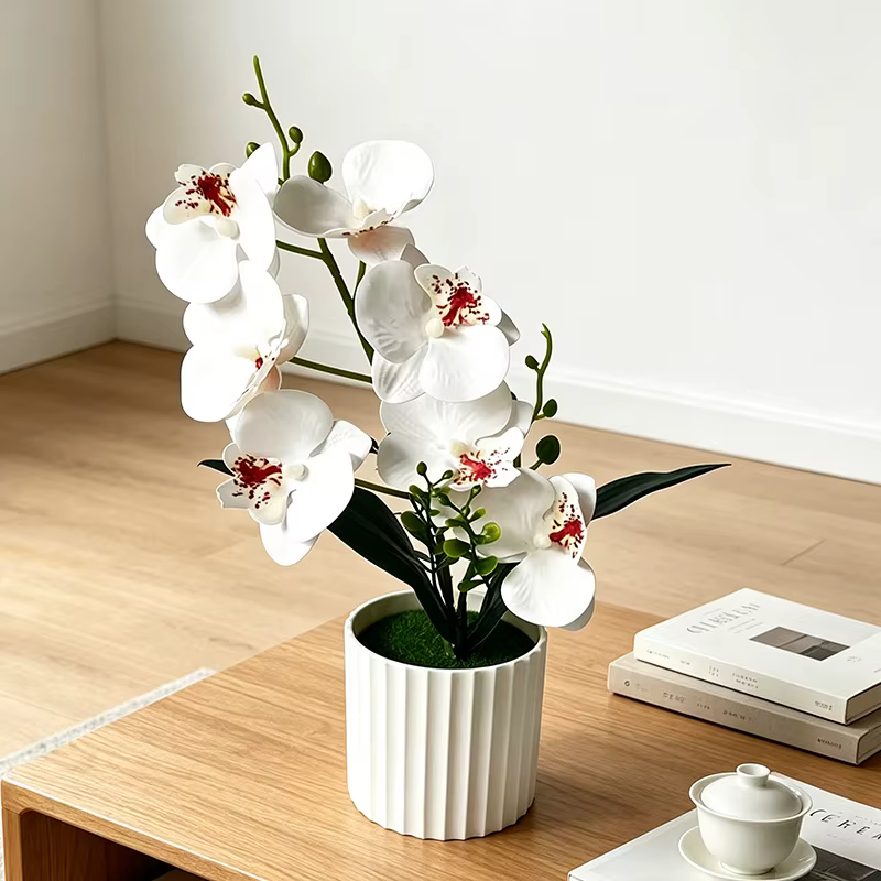 Orchidée Papillon à 7 Fleurs, Pot Vertical en Céramique, Décoration Intérieure et Extérieure pour Co