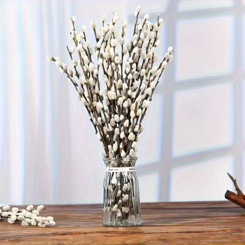 15 pièces de bouquet de saules argentés en fleurs séchées, décoration bohème pour vase, salon, jardi