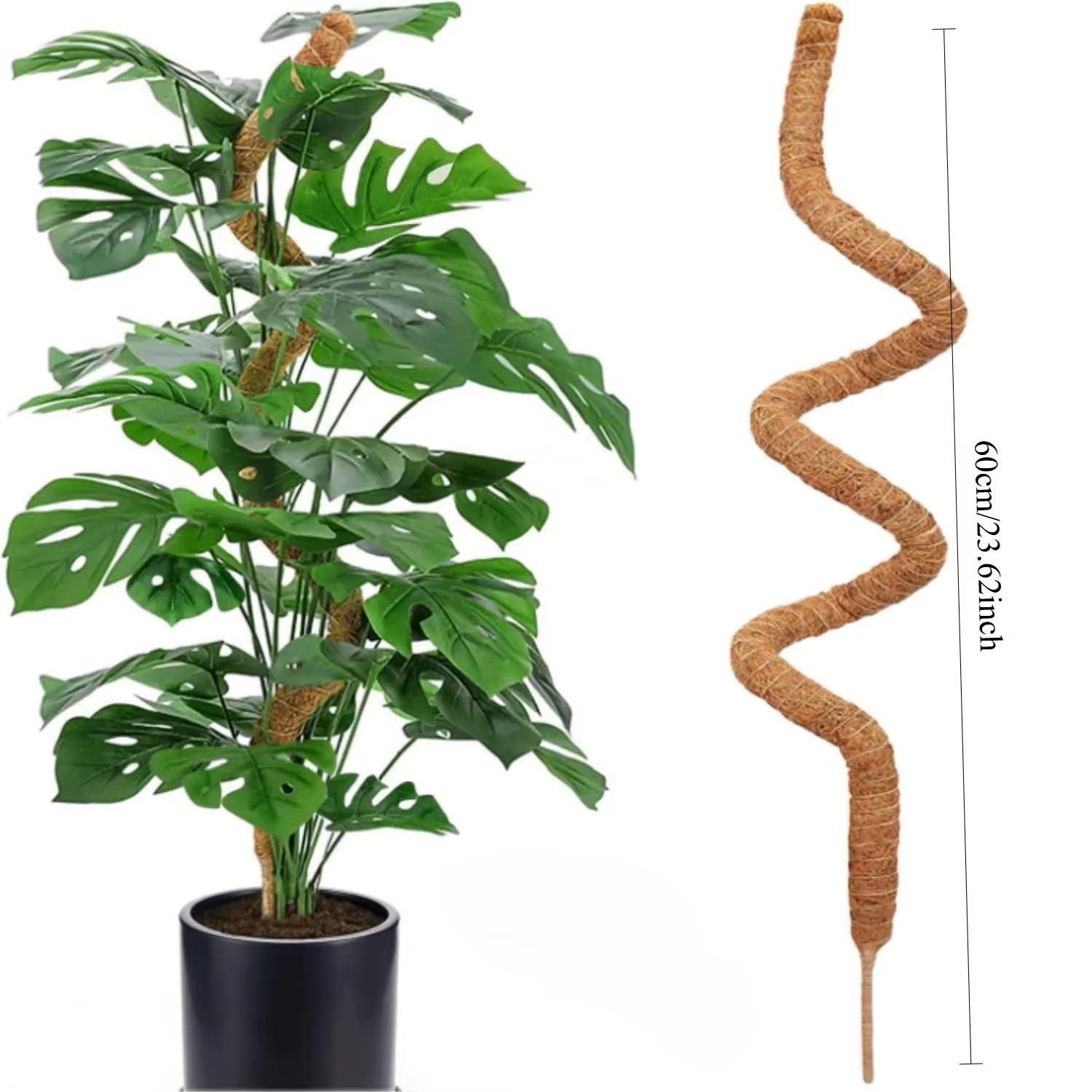 Support de plante Monstera pliable en mousse, 30-100cm, pour plantes grimpantes d'intérieur, bâton d