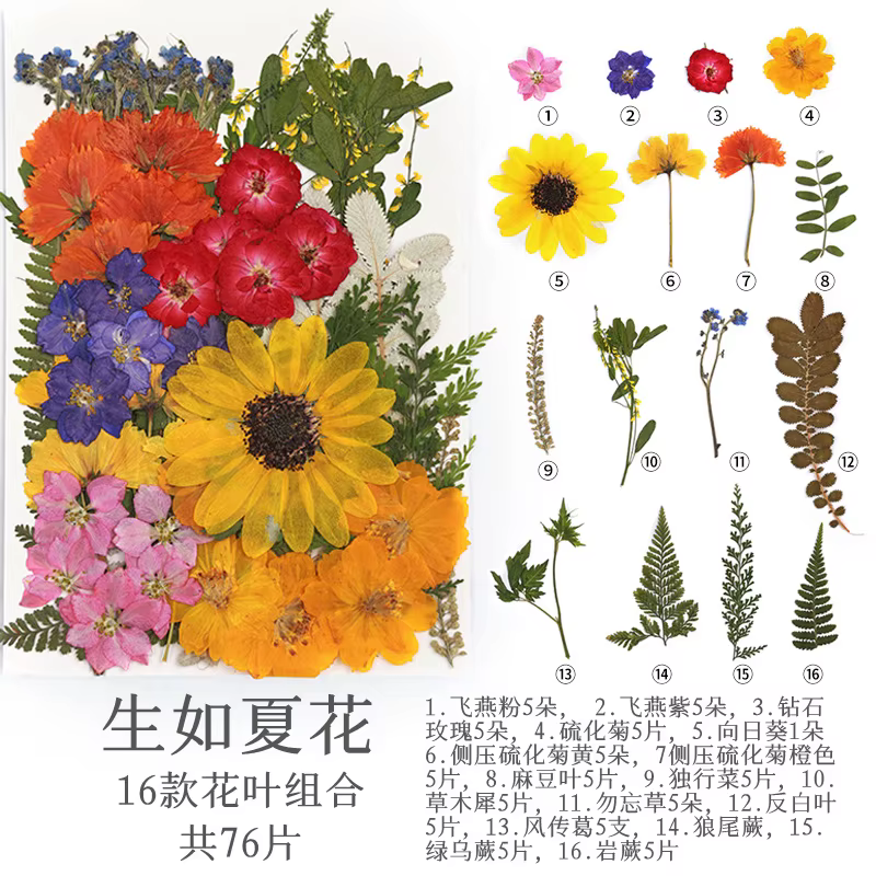 Pack de matériaux de fleurs séchées et pressées, pack combiné grand format 45-110, cadre photo végét