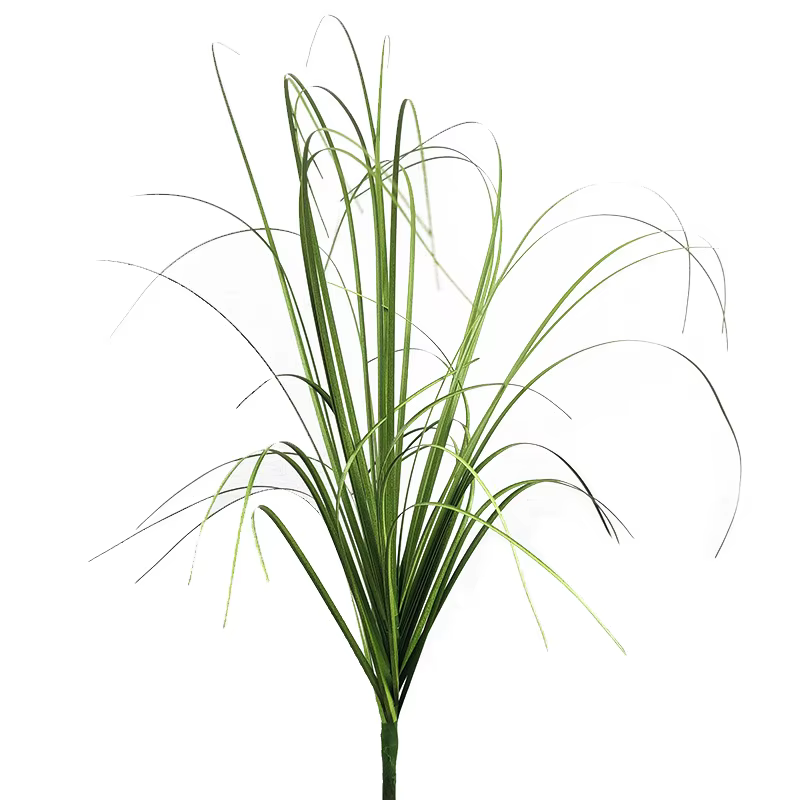 Fausse plante simulée oignon herbe bricolage pseudograss décoration de jardin Pot de plante fée jard