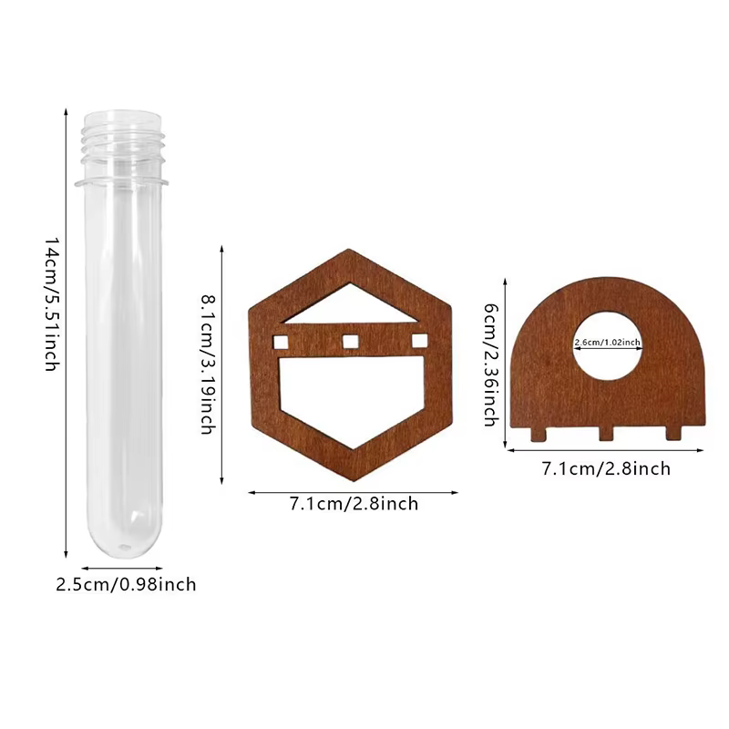 Vase mural pour plantes, support en bois, conteneur pour plantes hydroponiques, présentoir Transpare
