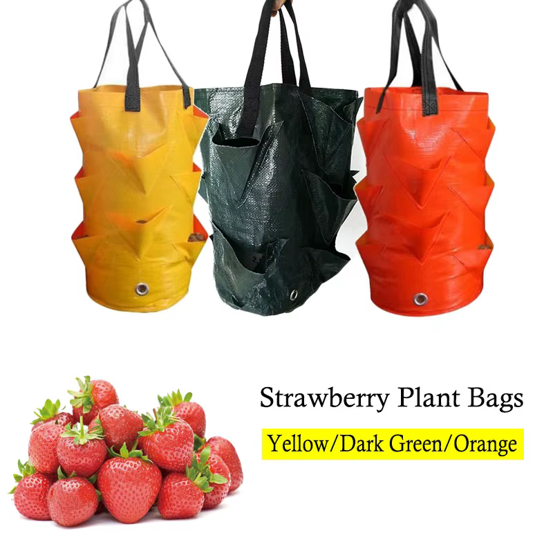 Sac de culture de plantes fraises 3 gallons, conteneur de tomates en plein air, sacs multi-bouche su