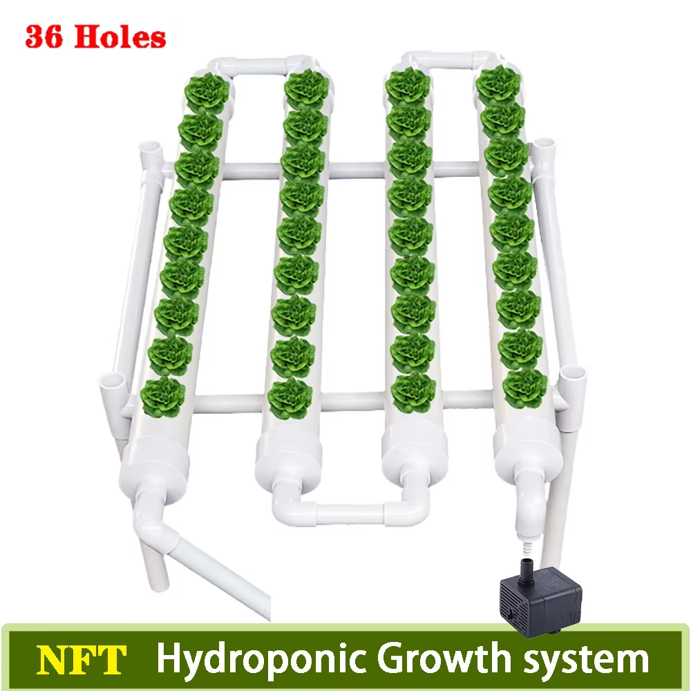 Analyste de système hydroponique Lauren, outils de plantation hydroponique, culture sans sol, jardin