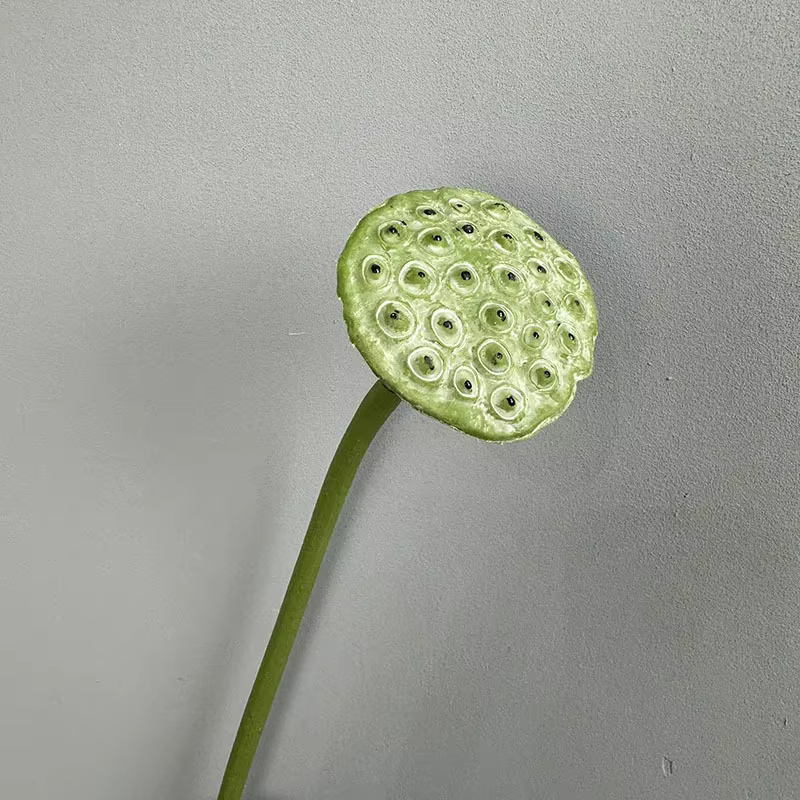 Plantes vertes artificielles en plastique Annie CanAmendements, lotuses de simulation florales, déco