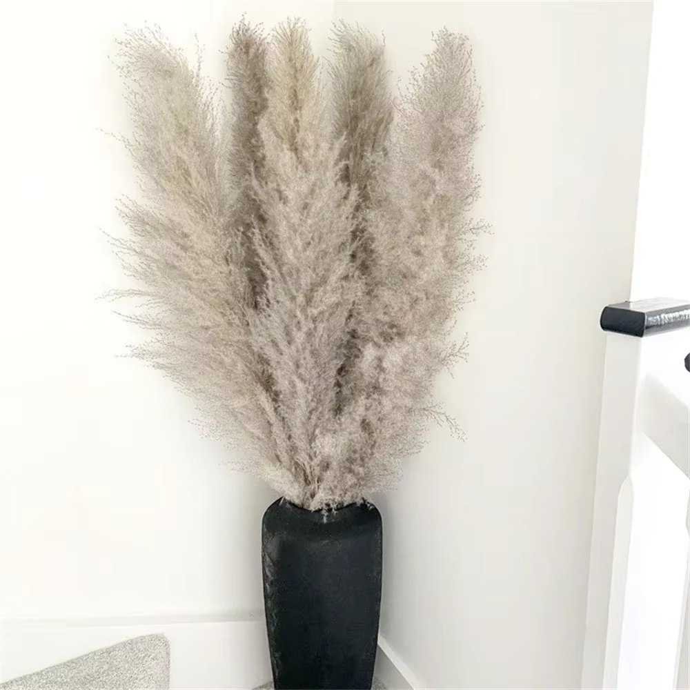 80-120 cm Pampas herbe grand grand grand xxl moelleux Pampas fleurs séchées Boho décor plante pour V