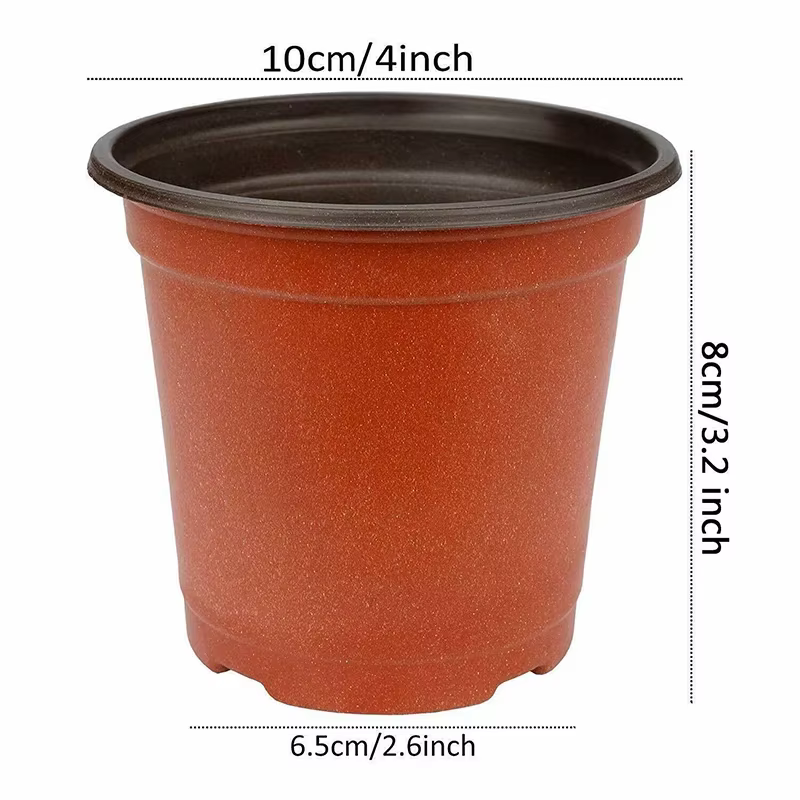Pot de fleurs spécial pour semis de plantes succulentes, 75-150 pots individuels, pots de plantation