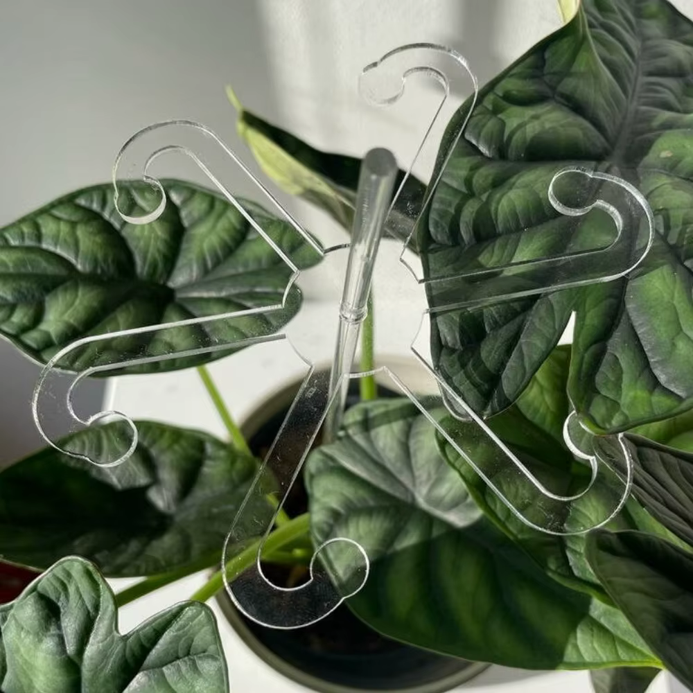 Le support de support pour plantes en acrylique fournit un support supplémentaire pour les plantes e