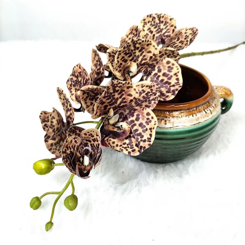 1 branche, 7 têtes, fleur d'orchidée papillon artificielle, toucher réel, soie, décoration florale p