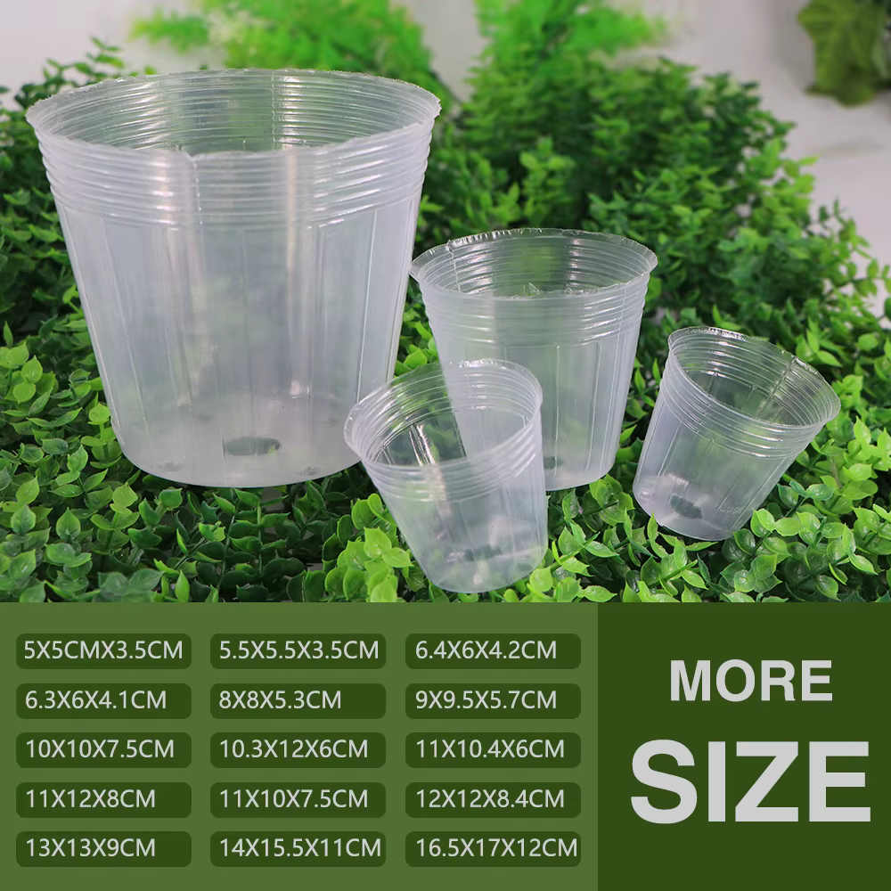 Pot de pépinière d'orchidée transparent réutilisable, 10 pièces, gobelets de Nutrition pour culture