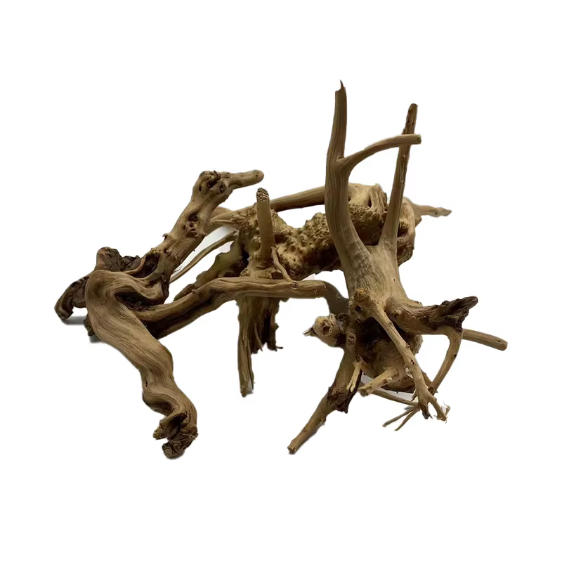 Tronc d'arbre naturel en bois flotté, plante d'aquarium, décoration en bois, ornement d'aquarium, ac