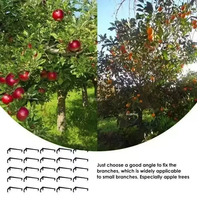 Clips pour arbres fruitiers, Support de vignes, façonneurs torsadés, extracteur de Branches, outils 
