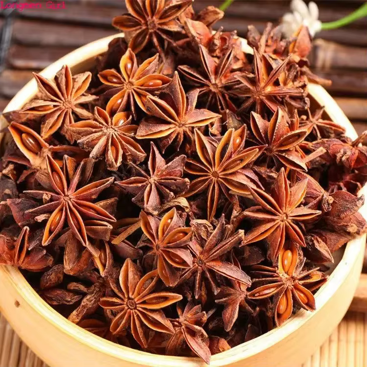 Anis étoilé chinois artificiel, anis décoratif d'aspect naturel pour la décoration de la maison, orn