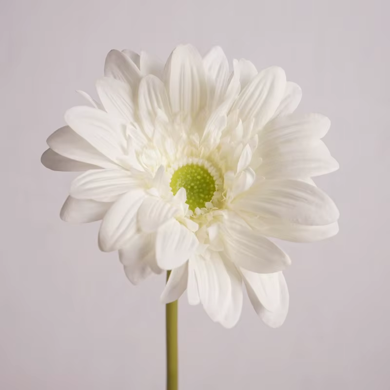 Gerbera-Fleurs Artificielles Hydratantes au Toucher Réel, Design de Mariage, Bouquets de Patients, D