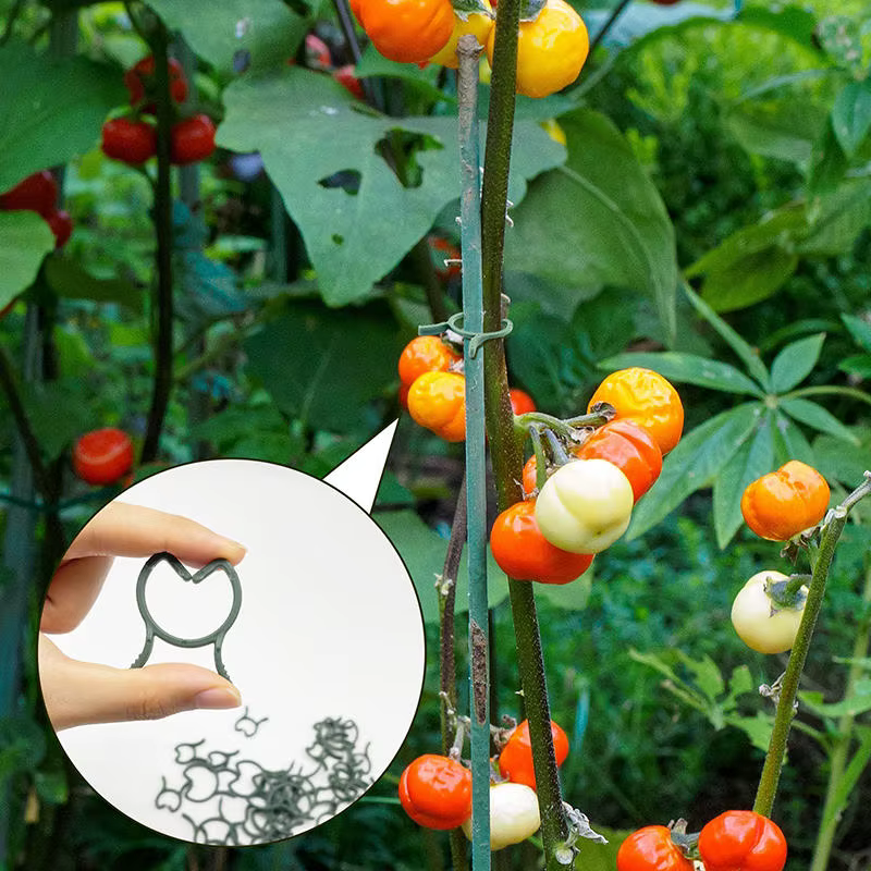 100/200 pièces Clips pour plantes, Clips de 3 tailles pour fixer les plantes, Clips de jardin, Clips