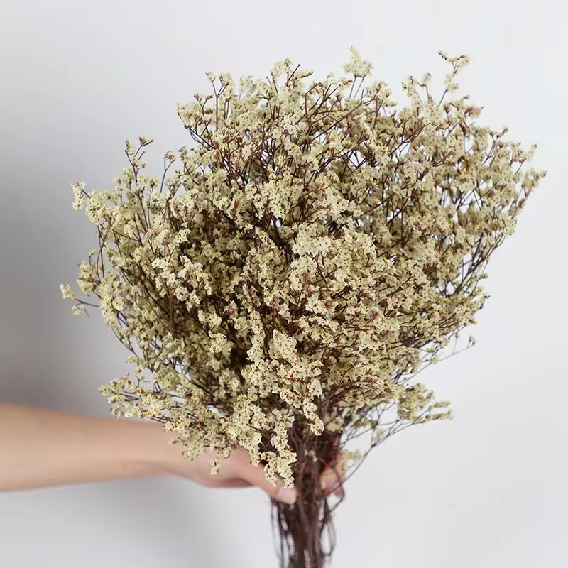 Fleurs séchées en herbe de cristal éternelle, 80g, décoration de mariage, de maison, fleur naturelle