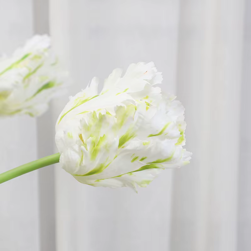Tulipes artificielles en soie haut de gamme, 5 pièces, décoration de maison, ornements de salon, fau