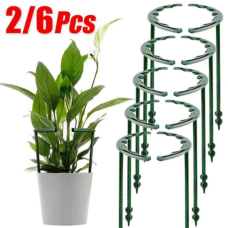 Support de Pile pour plantes, cadre demi-cercle, Support de tige fixe, Arrangement de jardinage, Sup