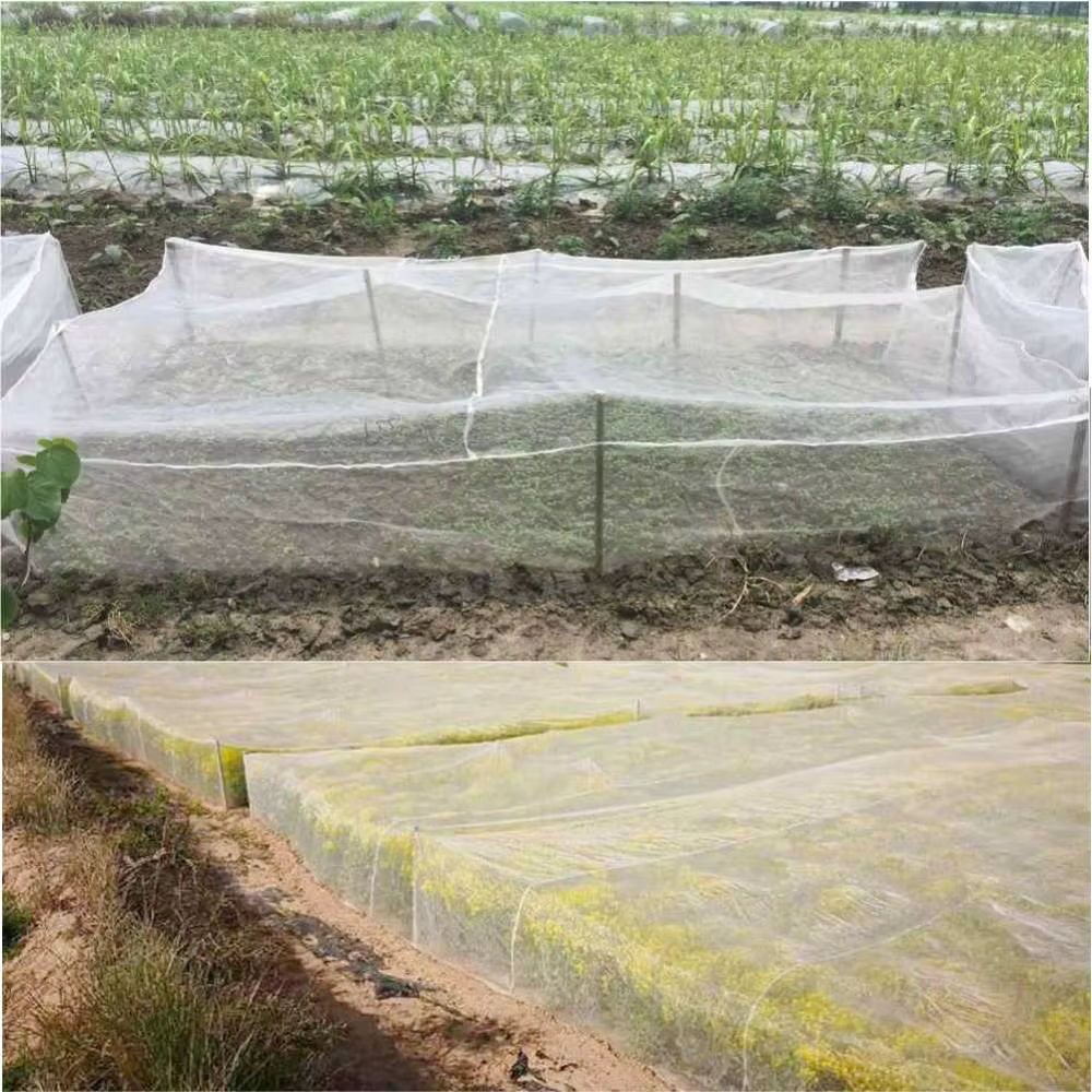 Filet de jardinage 60/80/100 mailles, filet anti-insectes, filet anti-oiseaux, filet de protection e