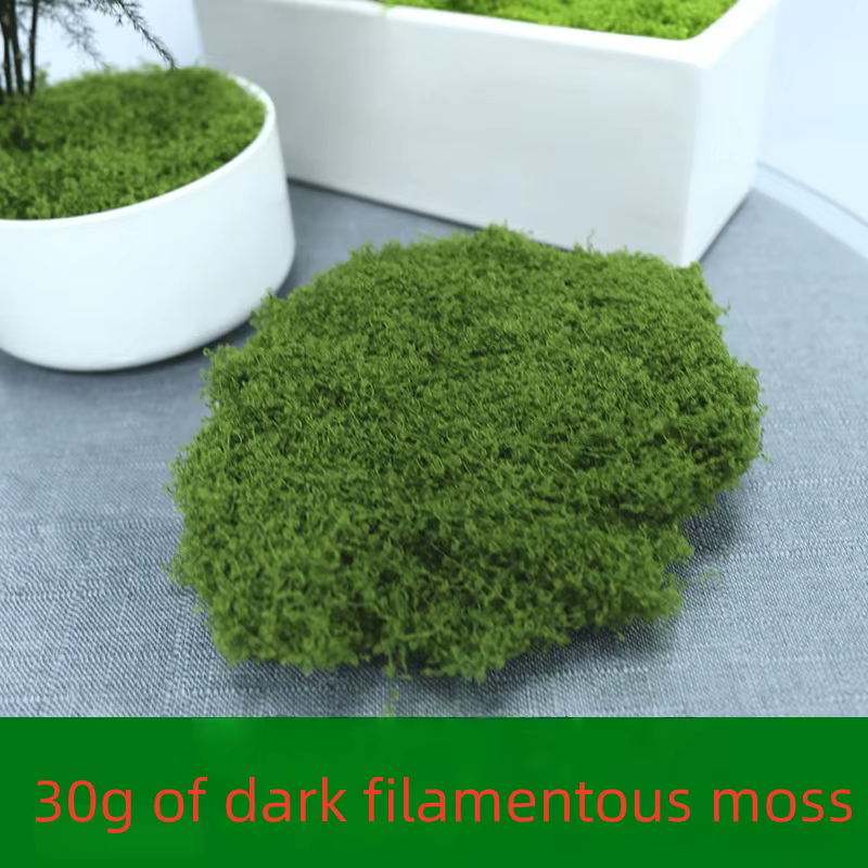 30/50/100g plantes vertes artificielles mousse herbe maison salon jardin décoration Mini paysage fau