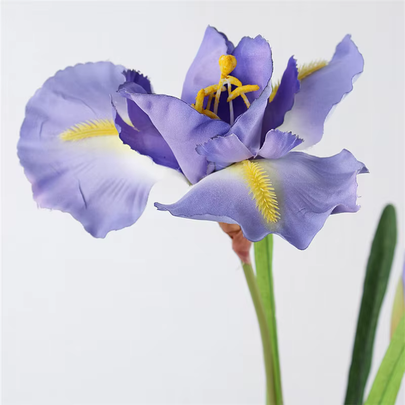 Fleurs d'iris artificielles en soie, fausses fleurs, toucher réel, plantes pour fête, mariage, maiso
