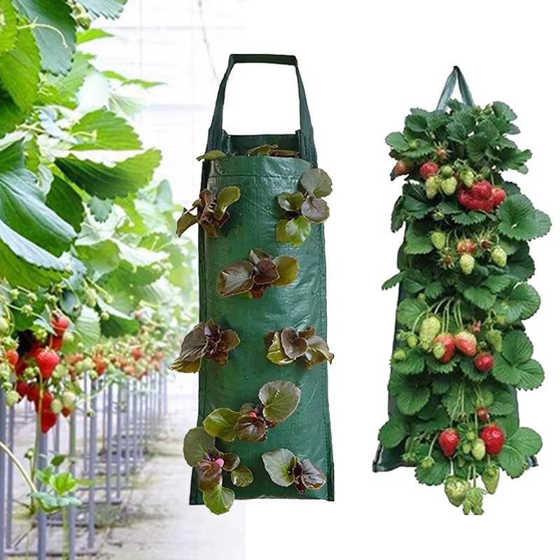 Pot de fleur de jardin vertical suspendu au mur, 4, 8, 10 poches, plantes à fraises, sacs PE, planta
