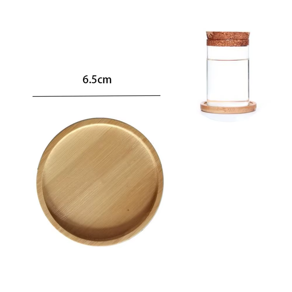 Pot de fleur hydroponique transparent pour la maison, mini terrarium créatif, vase en verre sans sol