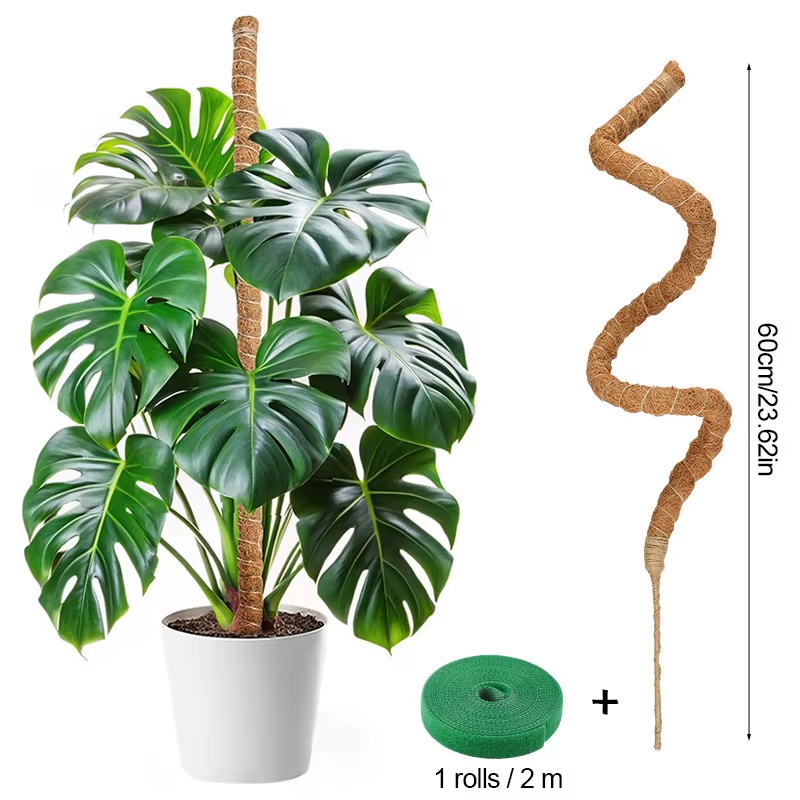 Supports pliables pour plantes grimpantes, tiges d'extension en mousse pour Monstera et palmiers, bâ