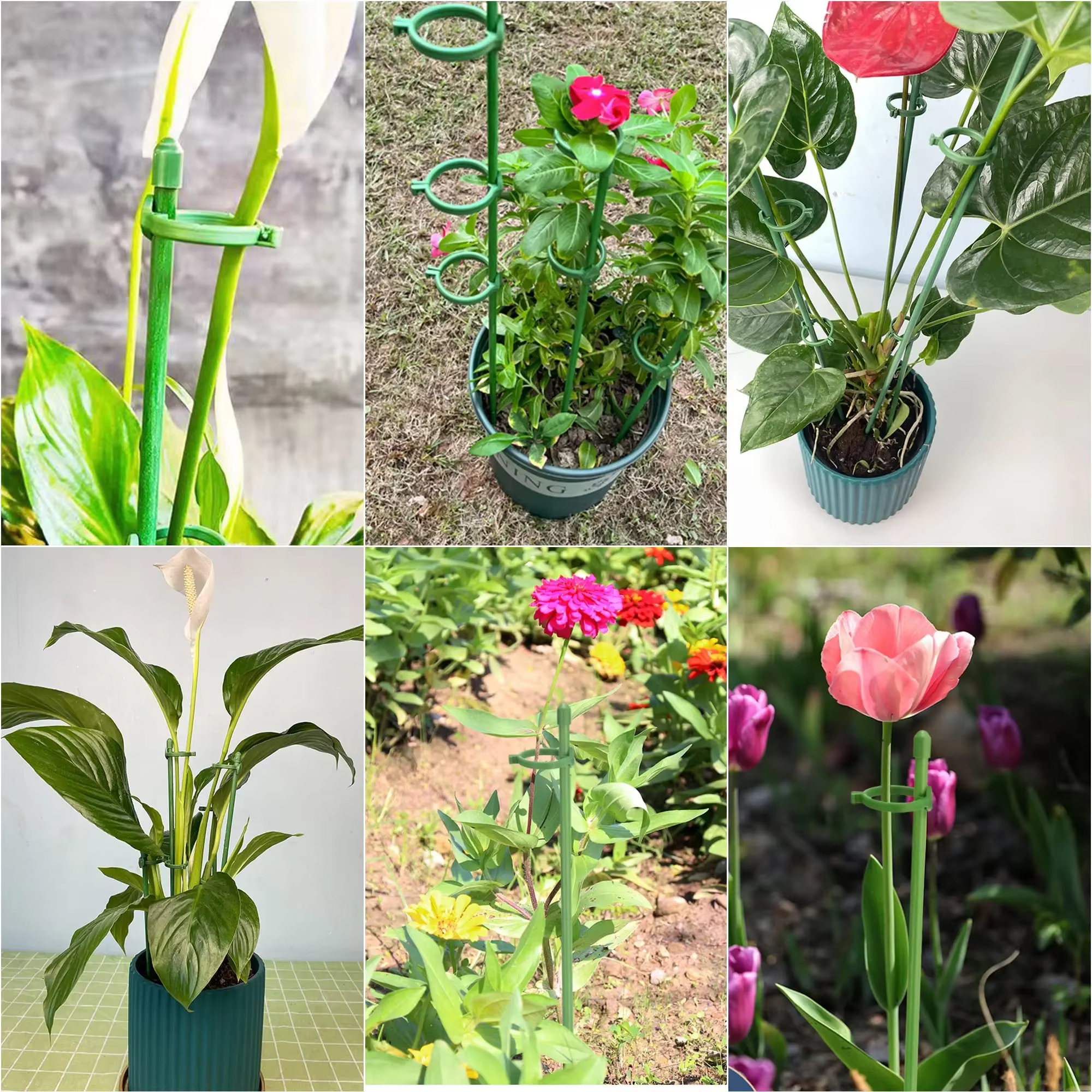 15 Pièces de Supports de Plantes Réglables, Supports de Fleurs de Jardin, Anneaux de Soutien pour Pl