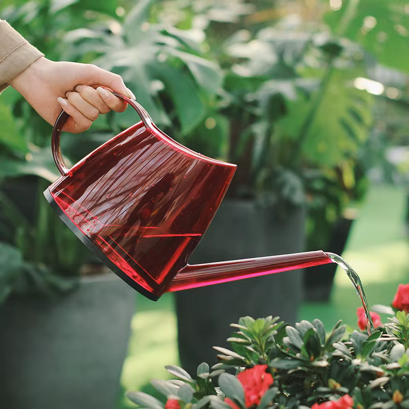 Pulvérisateur de fleurs à longue bouche, arrosoir pour plantes, canettes d'eau de douche succulentes