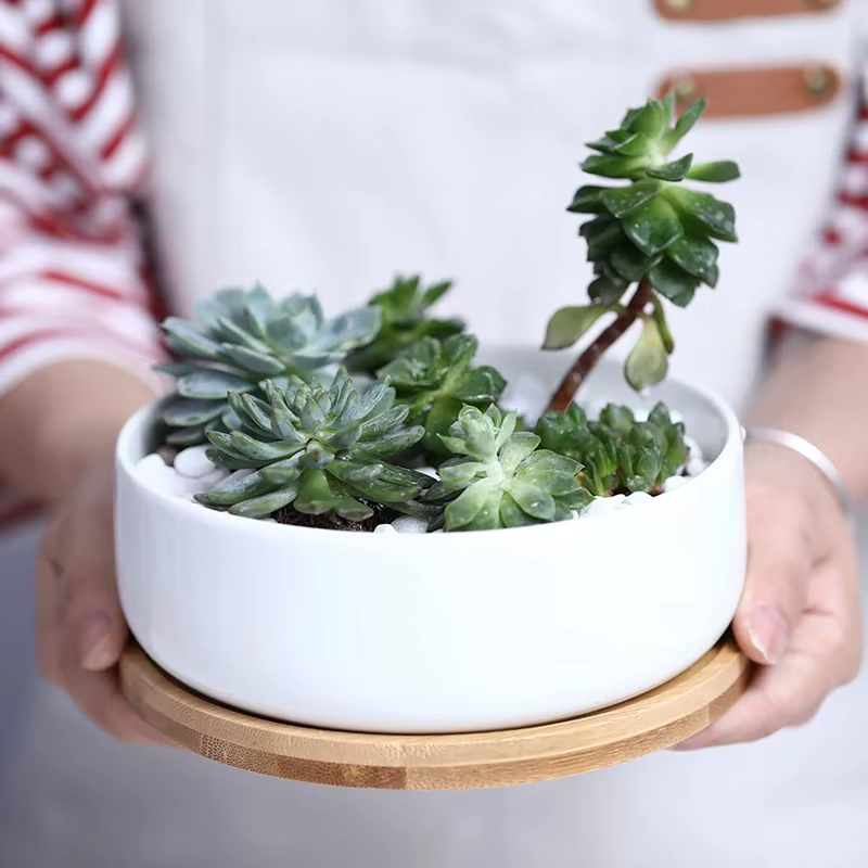 Pot de fleurs rond en céramique blanche, jardinière succulente, pot de plante quantique décoratif, r