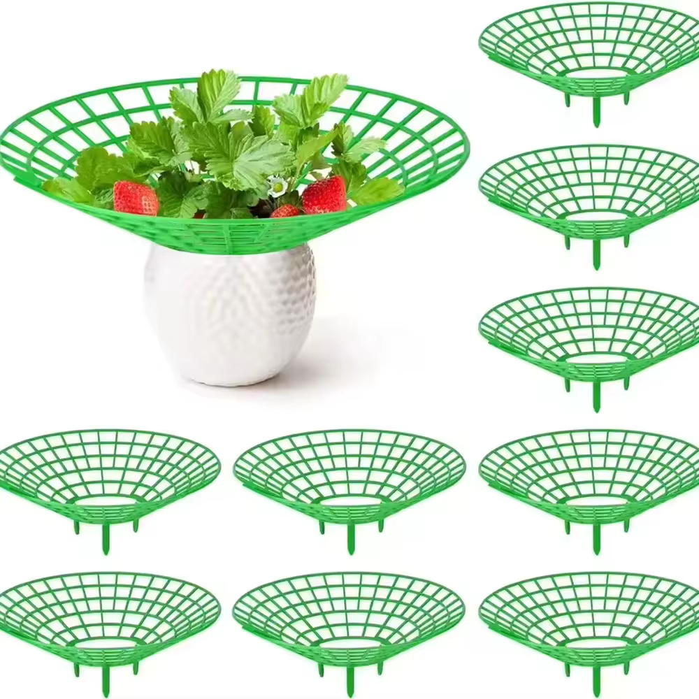 Supports pour plantes à fraises, 5 à 20 pièces, avec 3 jambes robustes, supports de culture de frais