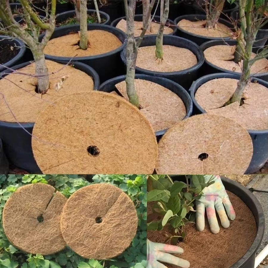 Protecteur d'anneau de paillis d'arbre en fibre de coco naturelle, barrière contre les mauvaises her
