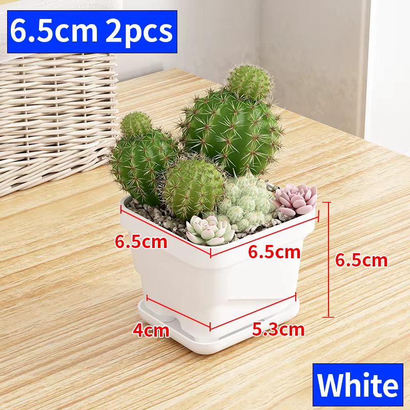 Pot à succulentes minimaliste nordique avec plateau, jardinière en plastique épaissi pour cactus, pl