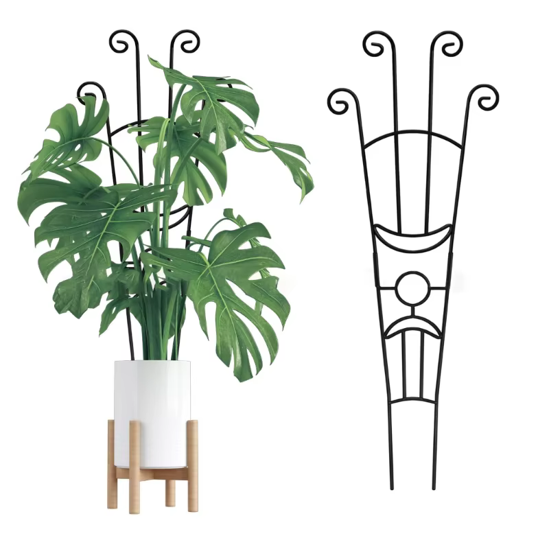 Structure Support plante en fer anti-oxydation, avec Base renforcée, grille Modifiable 33 pieds pour