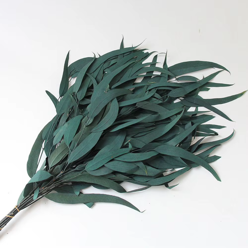Bouquets de fleurs séchées d'eucalyptus, feuilles de fruits de Millet véritable naturel, 100g, décor