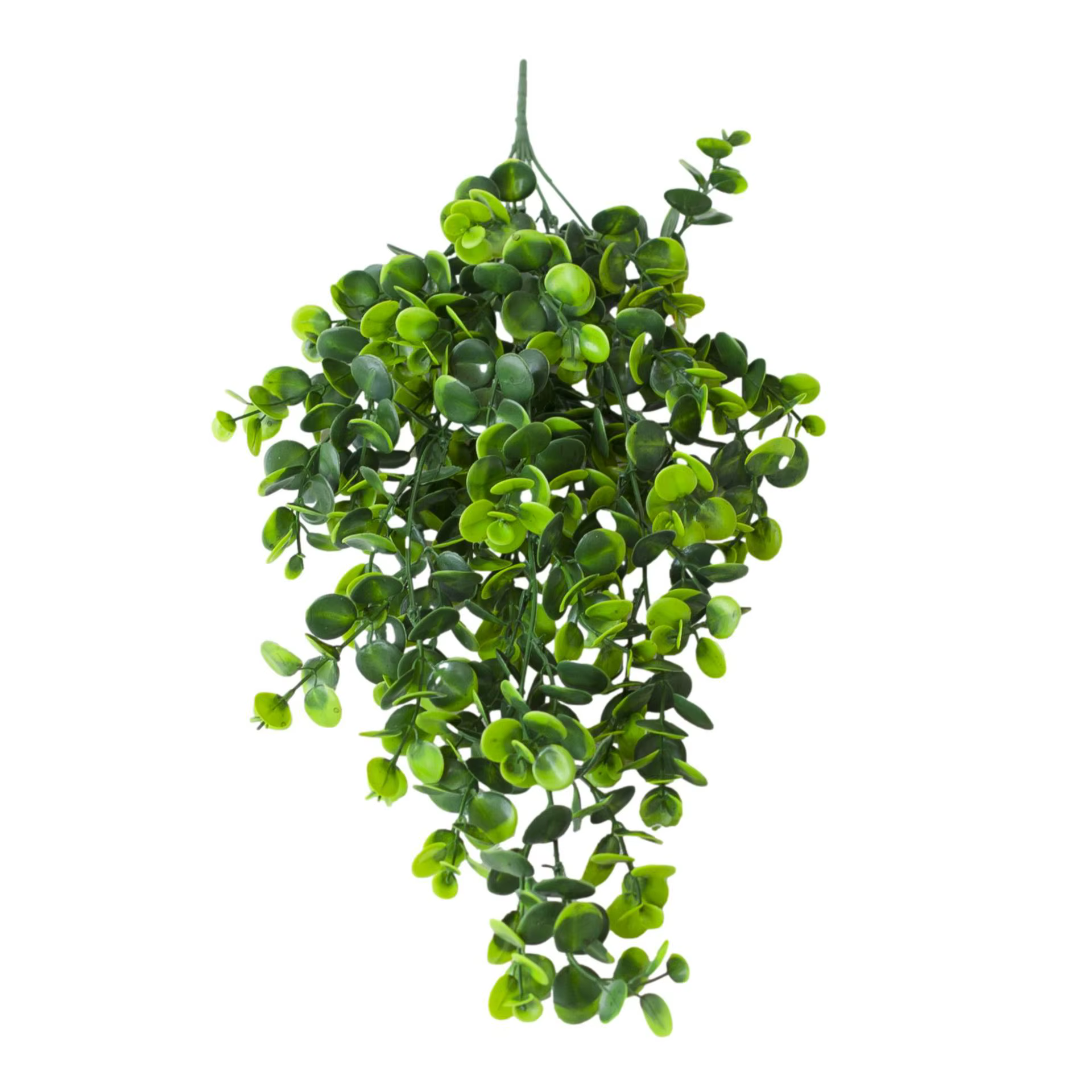 Plante verte artificielle d'eucalyptus, 80cm, feuilles d'eucalyptus artificielles suspendues, fleur 